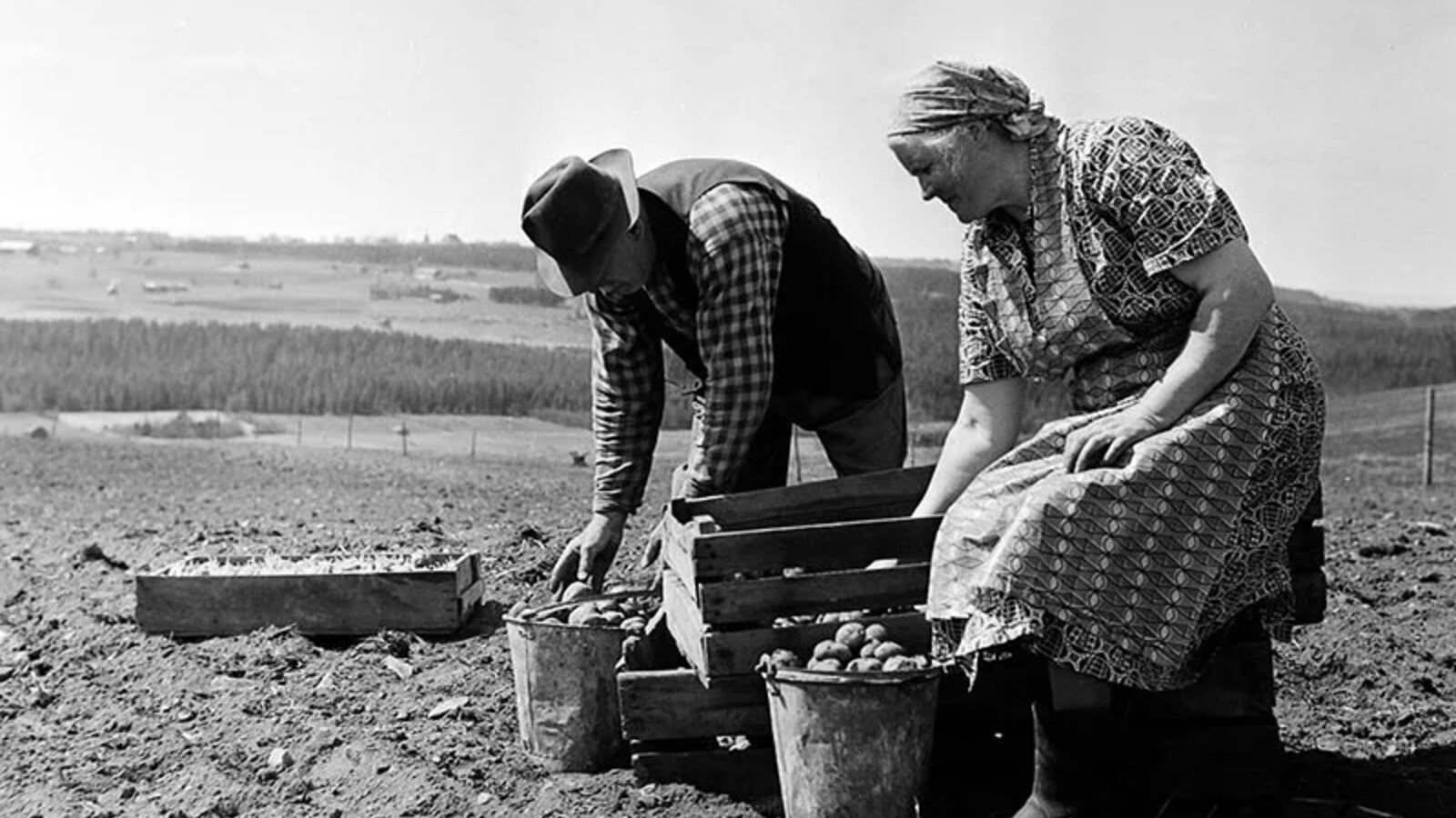 So wählen Sie das richtige Land für die Landwirtschaftsarbeit in Europa