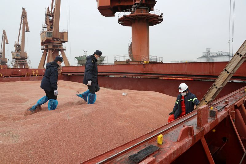 US-China-Gipfel: Mögliche Verschiebungen im Sojahandel und Auswirkungen auf Agrarmärkte