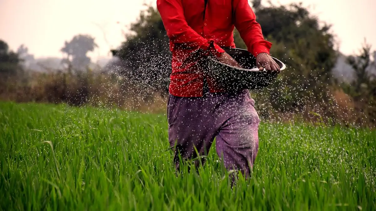 High-Efficiency Fertilizers Emerge as Vital Shield for Farmers Amid NPK Supply Shocks