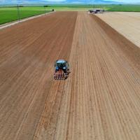 Turkey Expects Record Agricultural Recovery After Year of Drought