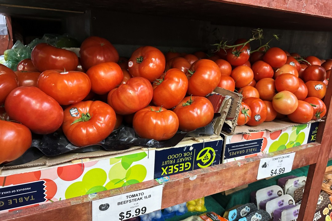 Surging Tomato Prices Highlight the Growing Squeeze on Greenhouse and Field Margins