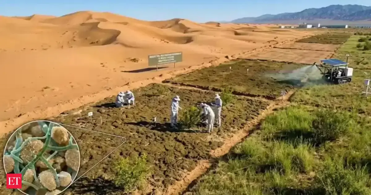 Agritech Breakthrough: Cyanobacteria Transforms Desert Sand into Fertile Soil