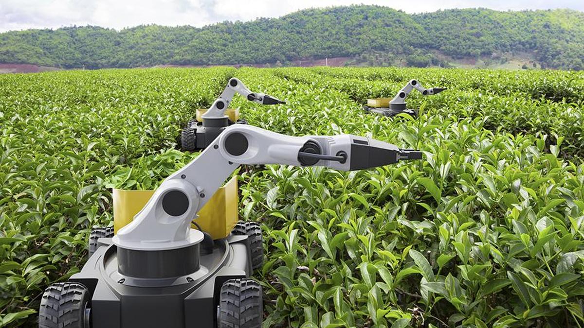 The Hype Era is Over: Agricultural Robotics Must Prove Cost-Per-Hectare Value