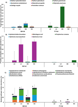 Root Asphyxiation in Tomato Aquaponics: The Hidden Danger of Biofloc Sludge