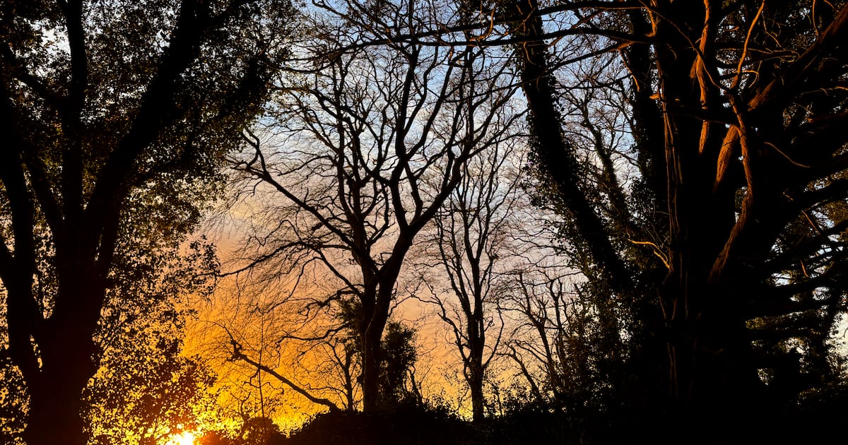 Ireland’s Environmental Funding Gap and the Future of Sustainable Farming