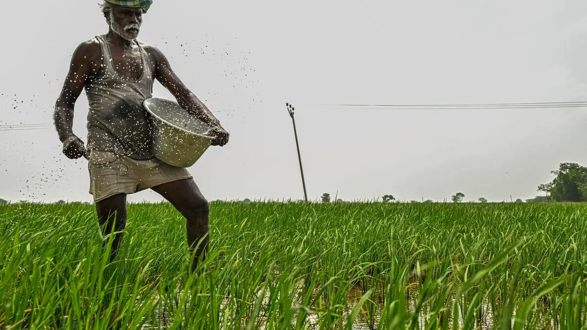 India Balances Fertilizer Reduction Goals with Stock Security