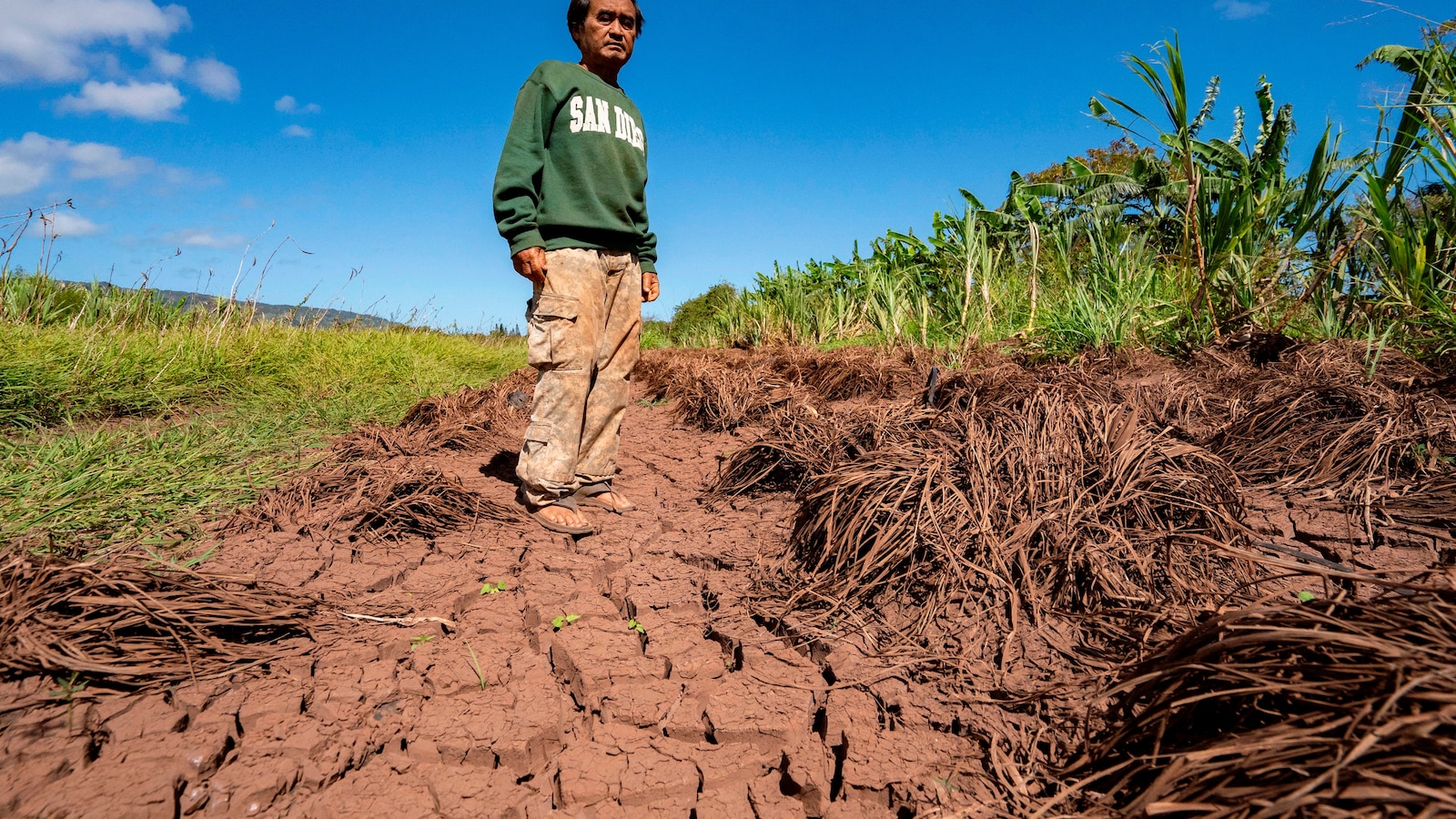 Devastating Floods in Hawaii Wipe Out Crops: A Climate Warning