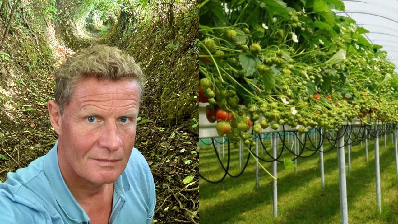 Bridging the Data Gap: Why Open-Source Education is Essential for Modern Farming