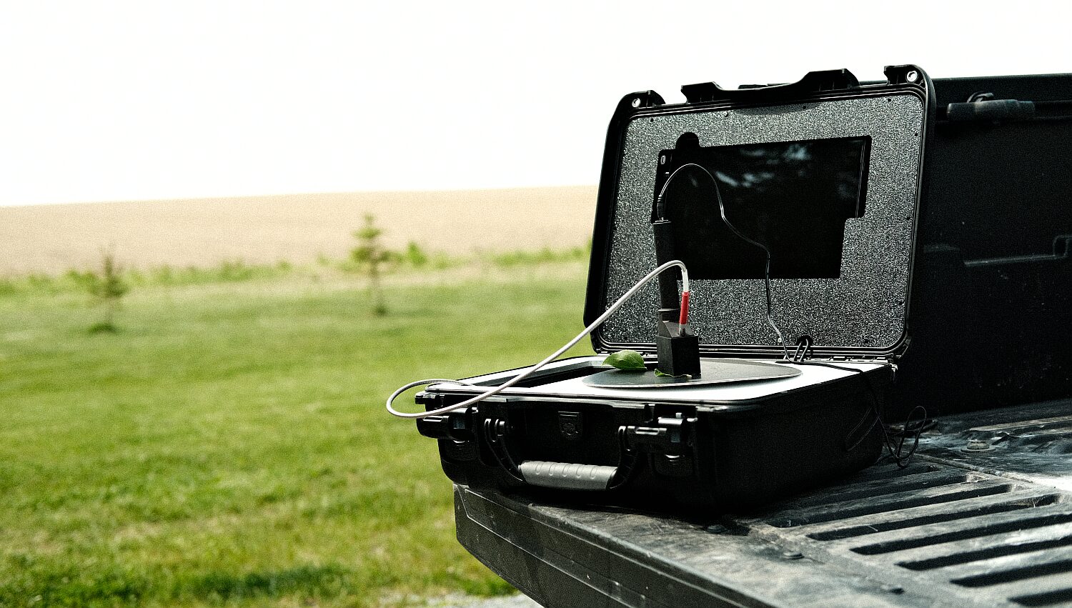 Portable Crop Nutrient Testing: Picketa Systems Raises $1.5M for Real-Time Agritech