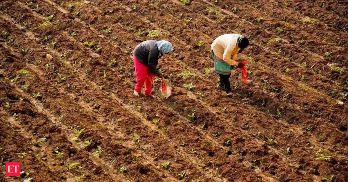 Global Fertilizer Supply Fears Push India Toward Biological Alternatives