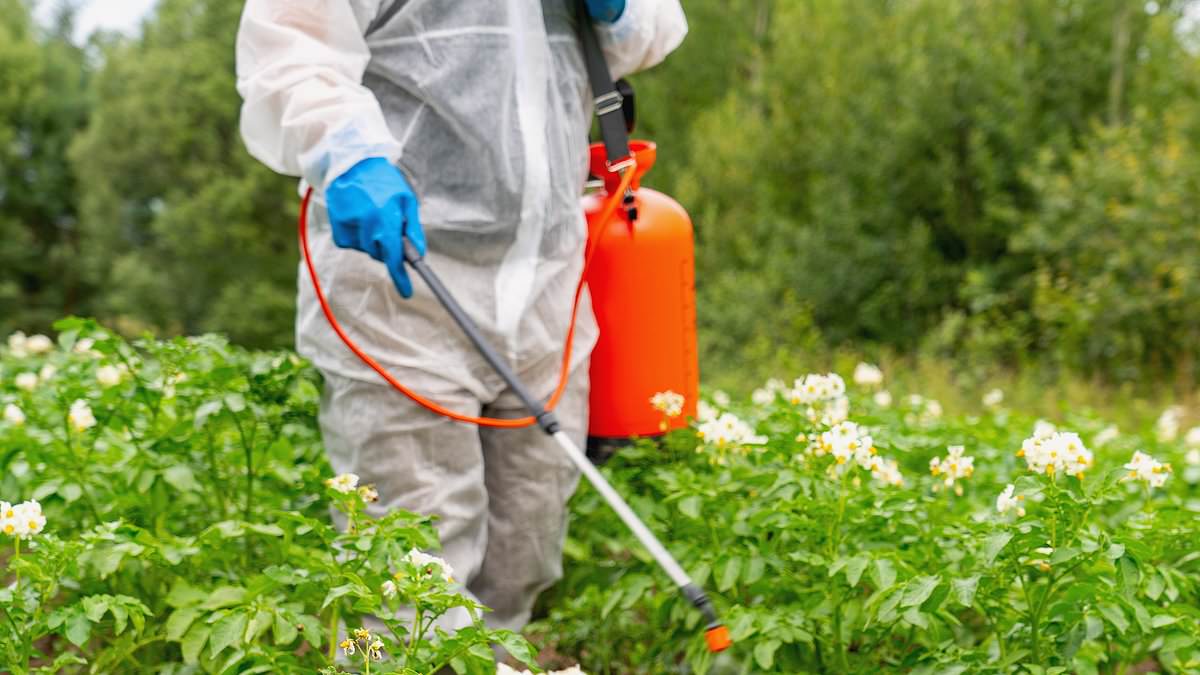 Global Pesticide Divide: Australian Paraquat Debate Highlights Regulatory Disparities