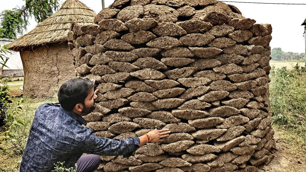 Global Fertilizer Prices Surge 50% Amid Middle East Conflict