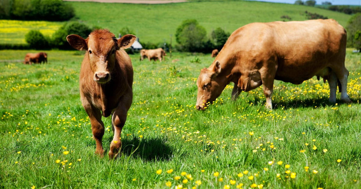 EU Agricultural Subsidies Face Growing Pressure to Link with Emission Cuts