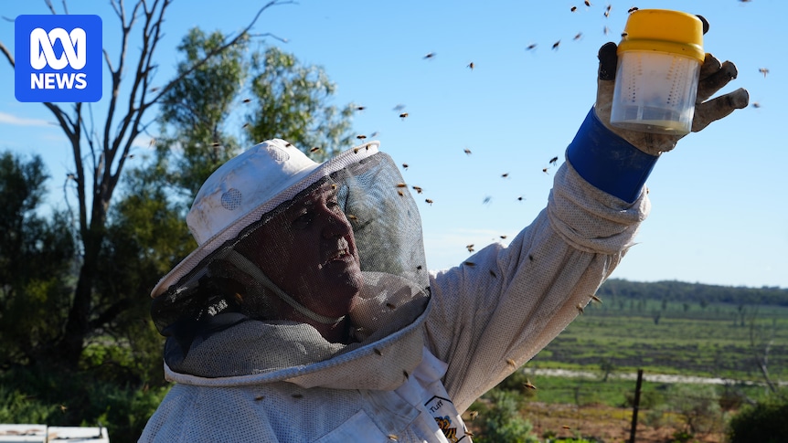 Beekeepers Push for New Biopesticides to Combat Varroa Mite Resistance
