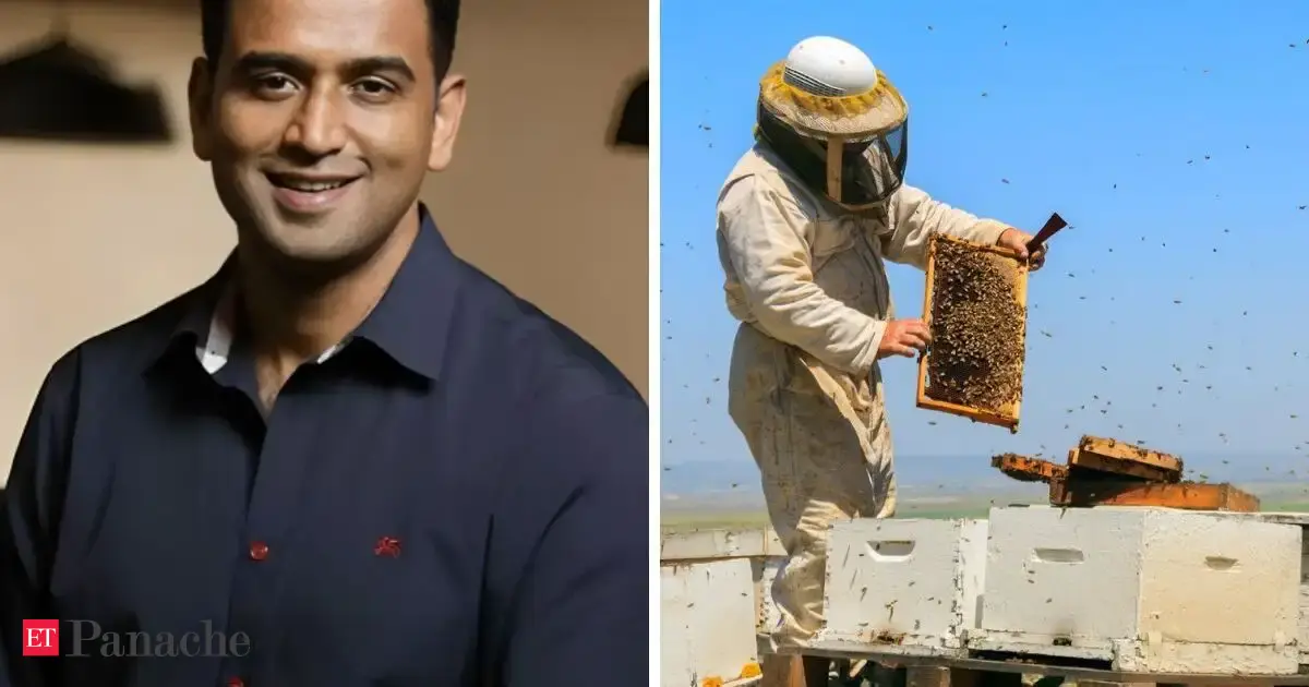 Bee boxes: The low-tech solution driving a 20% boost in agricultural yields