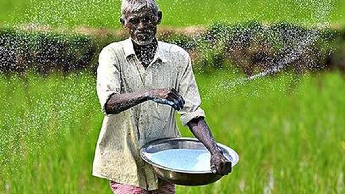 Global Fertilizer Supply Shock: How the Middle East Conflict is Driving Up Urea and DAP Demand