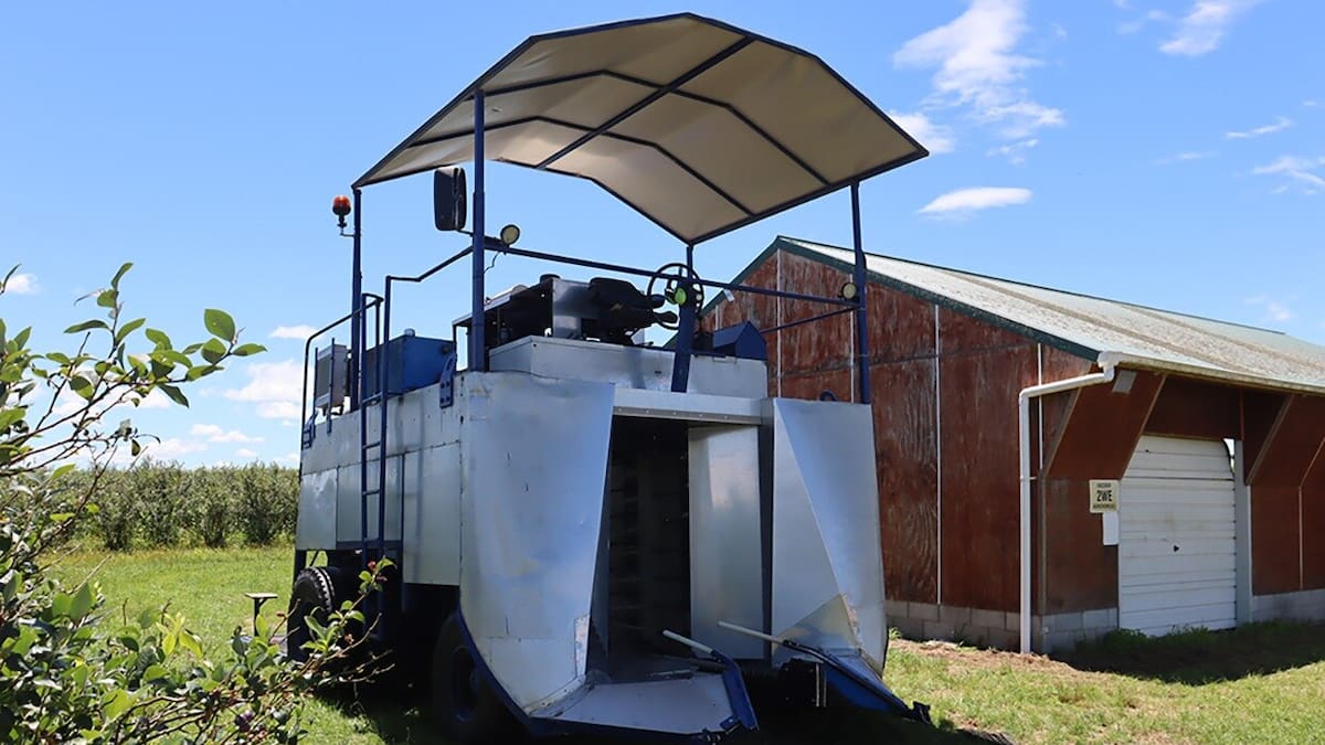 AI Blueberry Harvester Tech Optimizes Yields and Cuts Waste