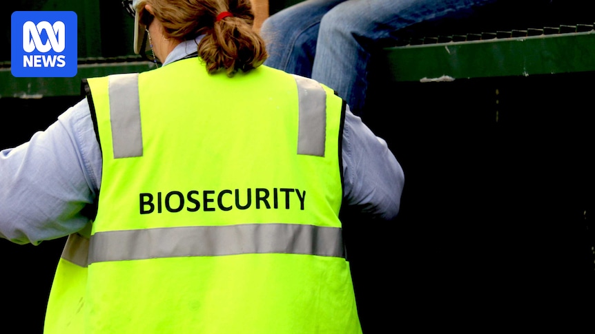 Record Biosecurity Fine for Cattle Movement Highlights Global Compliance Risks
