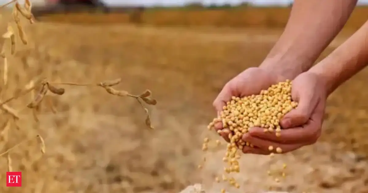 Indian Farmers Shift to Soybeans: Impact on Global Feed Markets