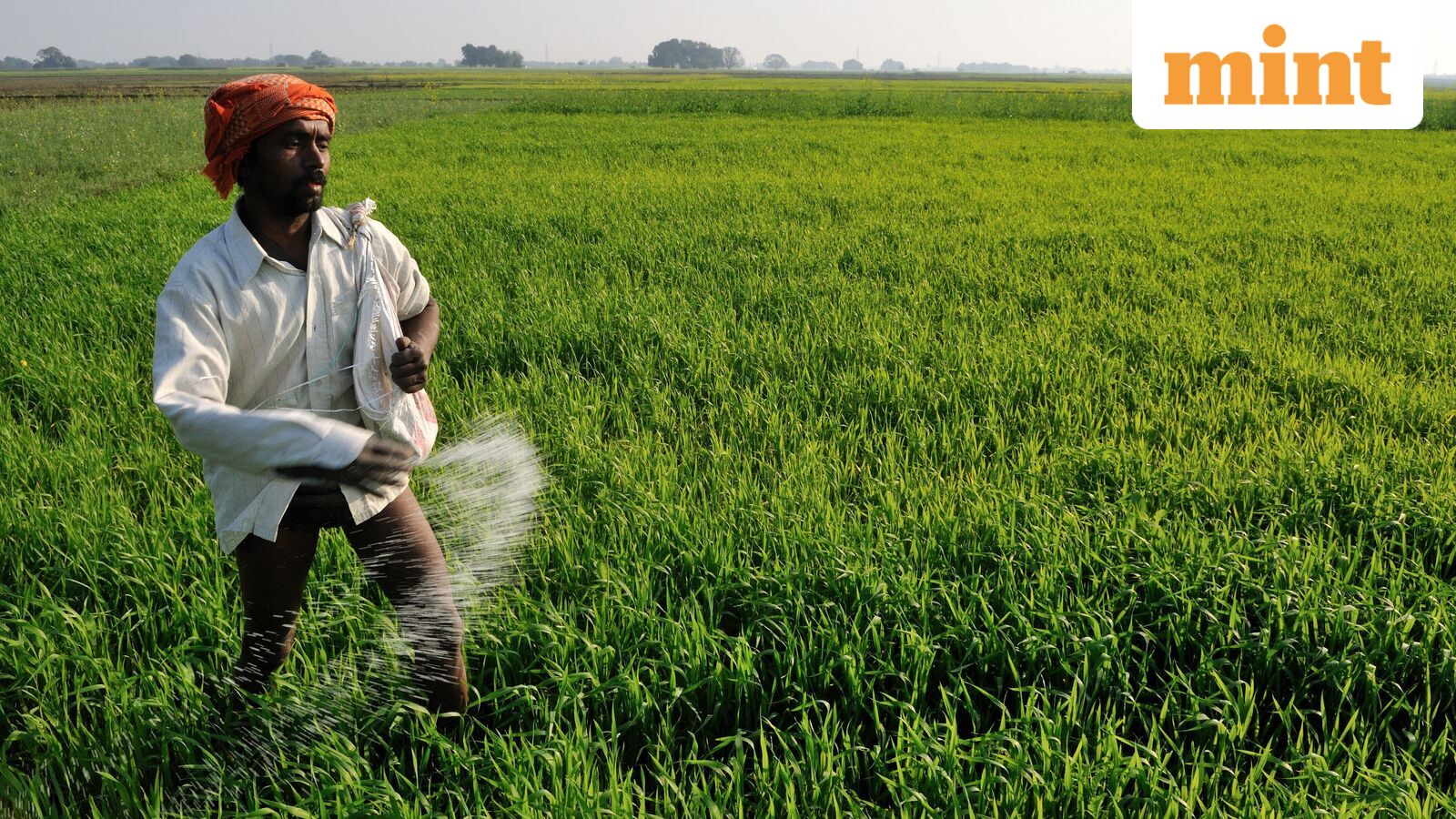 Global Fertilizer Shift: India Moves to Secure Canadian Potash