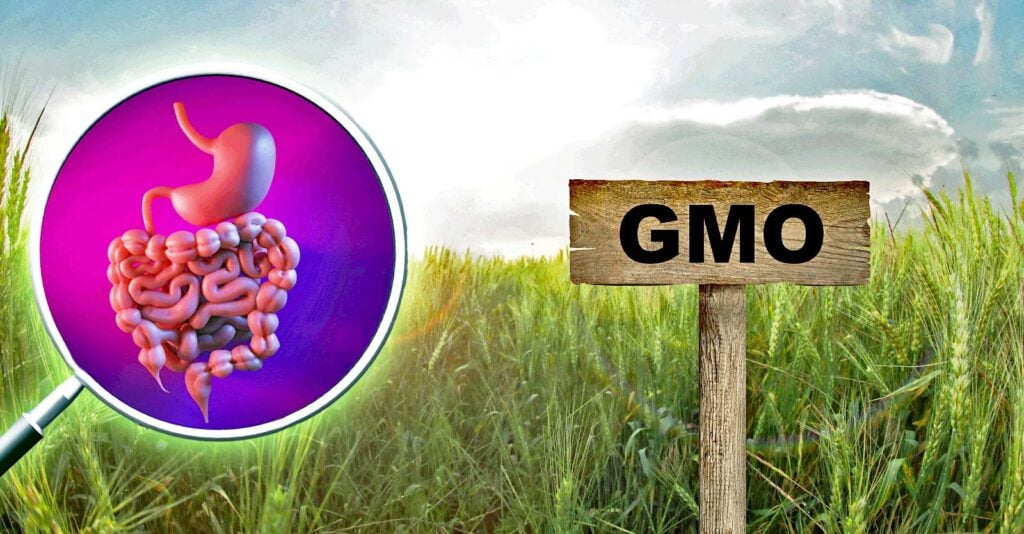 Study Links Common Herbicide Mixtures to Gut Damage at Safe Levels