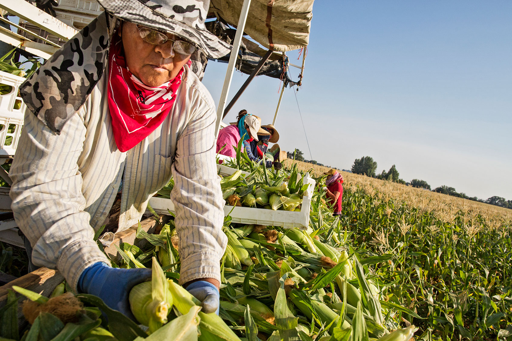 US Immigration Crackdowns: A Cautionary Tale for European Farm Labor