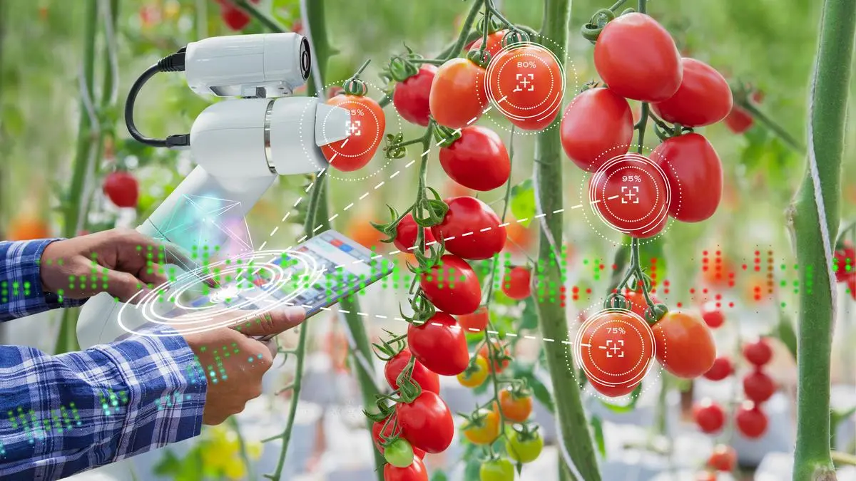 KI in der Landwirtschaft: Lehren aus Indiens digitaler Transformation
