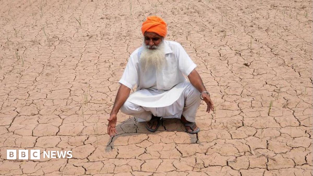 Trockenster Juni in Indien seit Jahren: Auswirkungen auf den Agrarmarkt