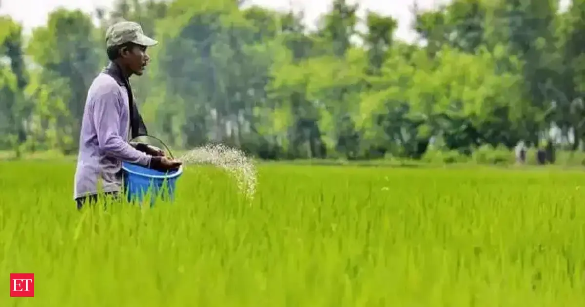 Unpredictable monsoon season fuels interest in soluble fertilizers amid price surge