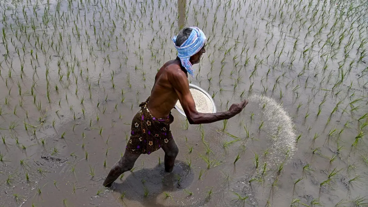 Global Fertilizer Price Volatility: Why Soluble Fertiliser Demand Stays Uncertain