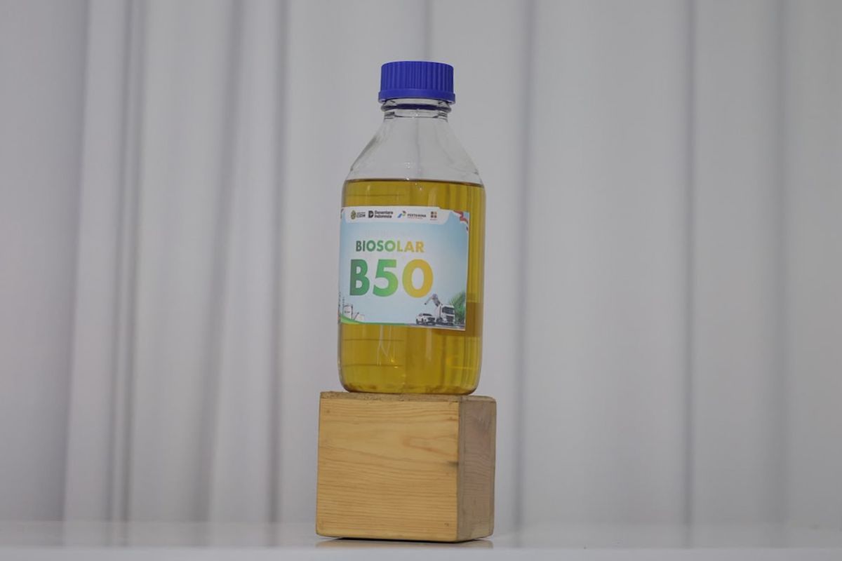 Indonesia's B50 Biodiesel Ambitions and the Future of European Vegetable Oil Markets