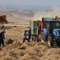 Natural Disasters Impact 90,000 Hectares of Turkish Farmland in 2026