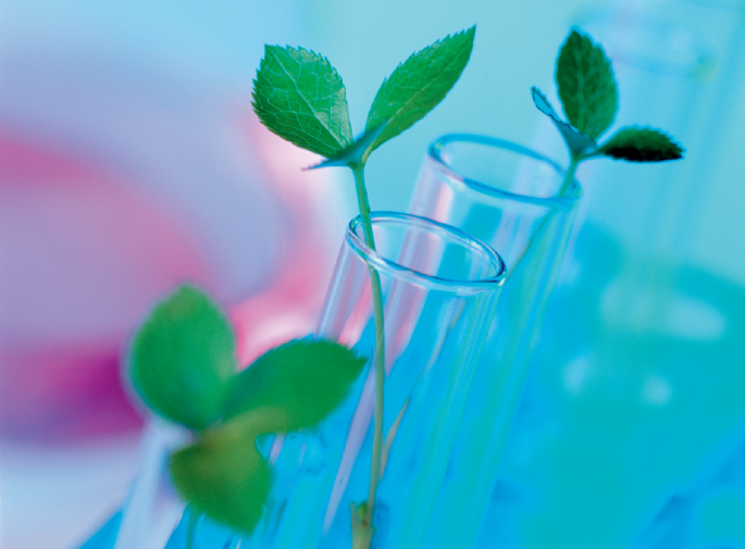 EU Relaxes Rules on Gene-Edited Crops: What it Means for European Growers