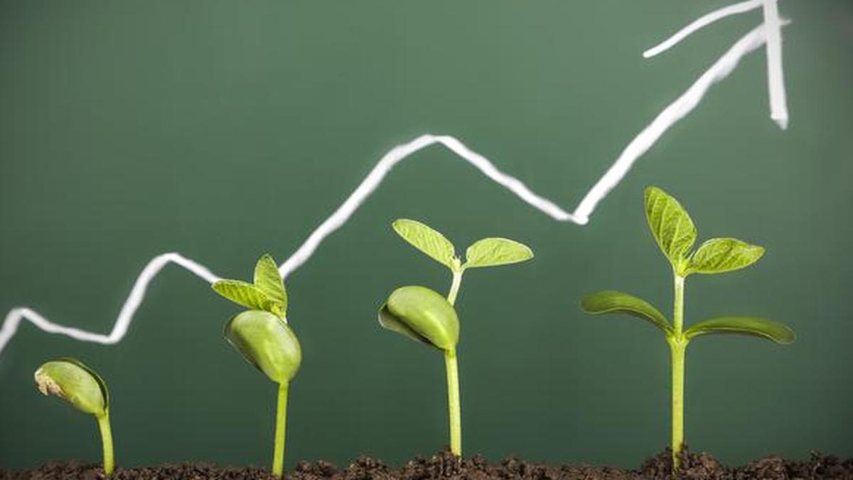 Lehren aus der Grünen Revolution: Warum Qualitätsstandards bei Biologika entscheidend sind