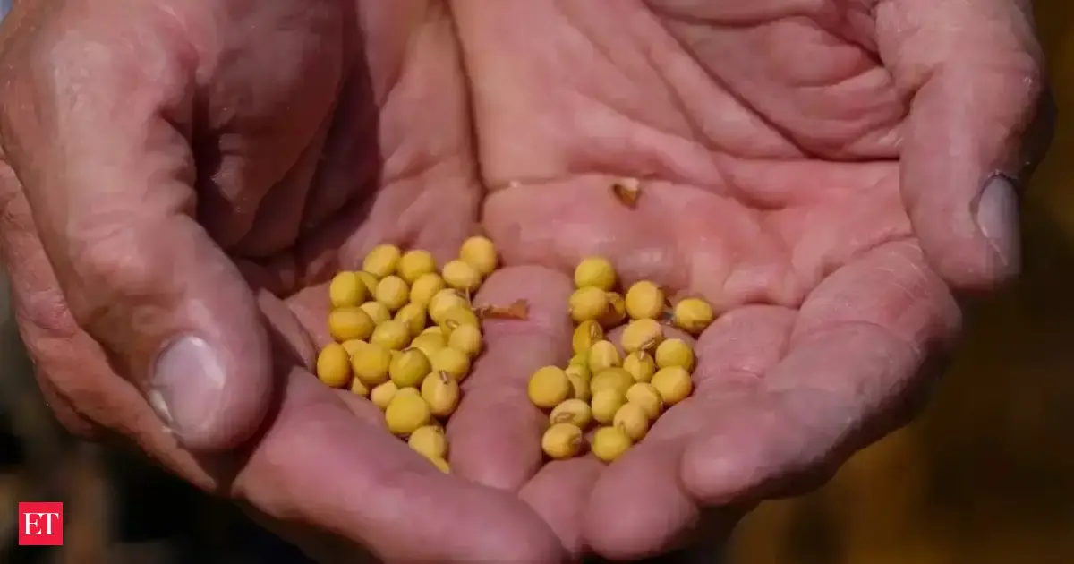 US-India AI Partnership Aims to Accelerate Soybean Breeding Cycles