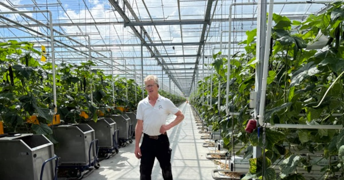 Scaling Up Without Sprawl: What Europe Can Learn from Dutch Agri-Innovation