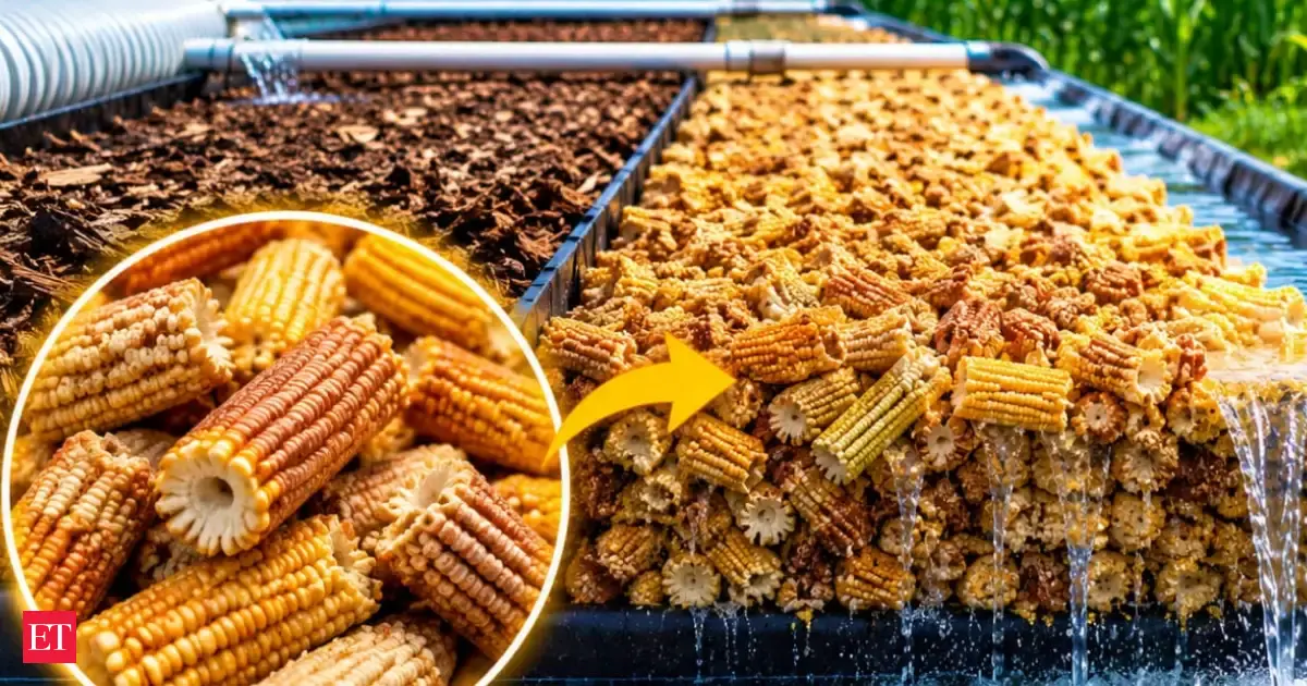 Corn Cobs Outperform Woodchips in Nitrate Bioreactors