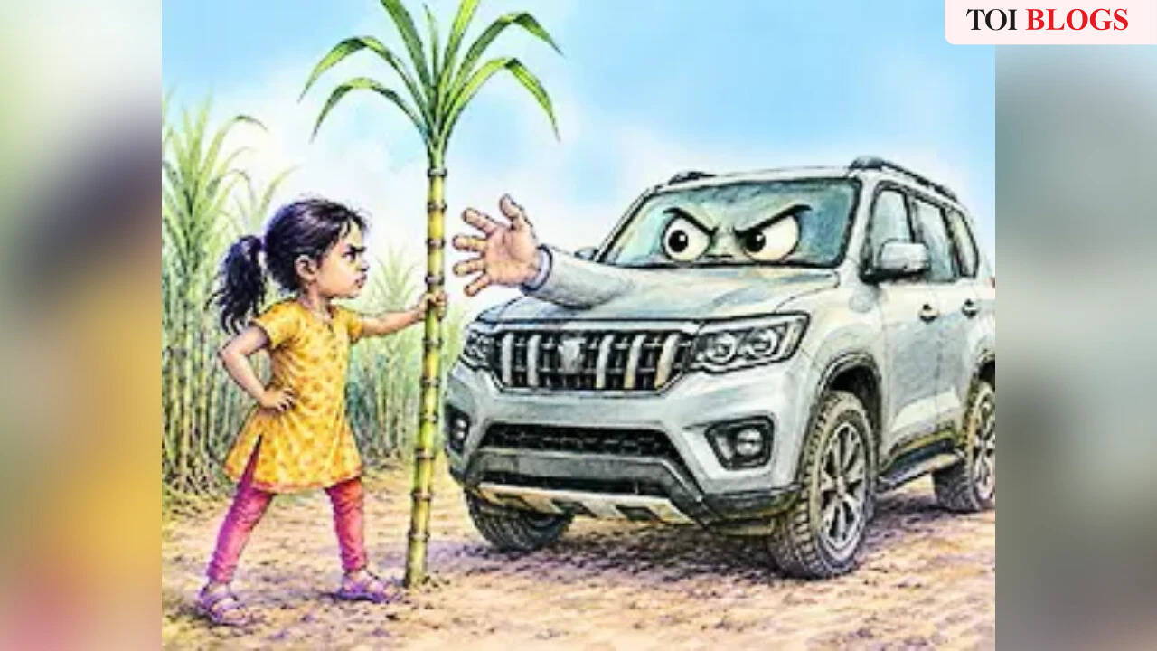 India’s Sugarcane Shift: Global Sugar Market Implications