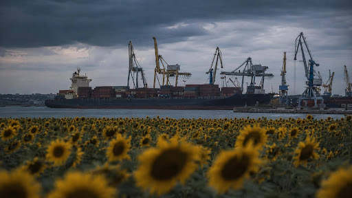 Logistikkrise im Schwarzen Meer: Anstieg der Sonnenblumenölpreise