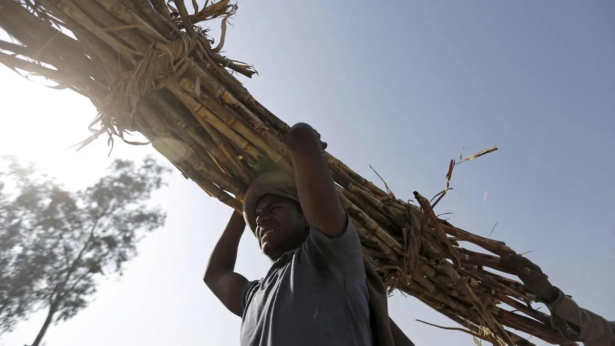 Ethanol Production as a Farm Income Stabilizer: Lessons from India