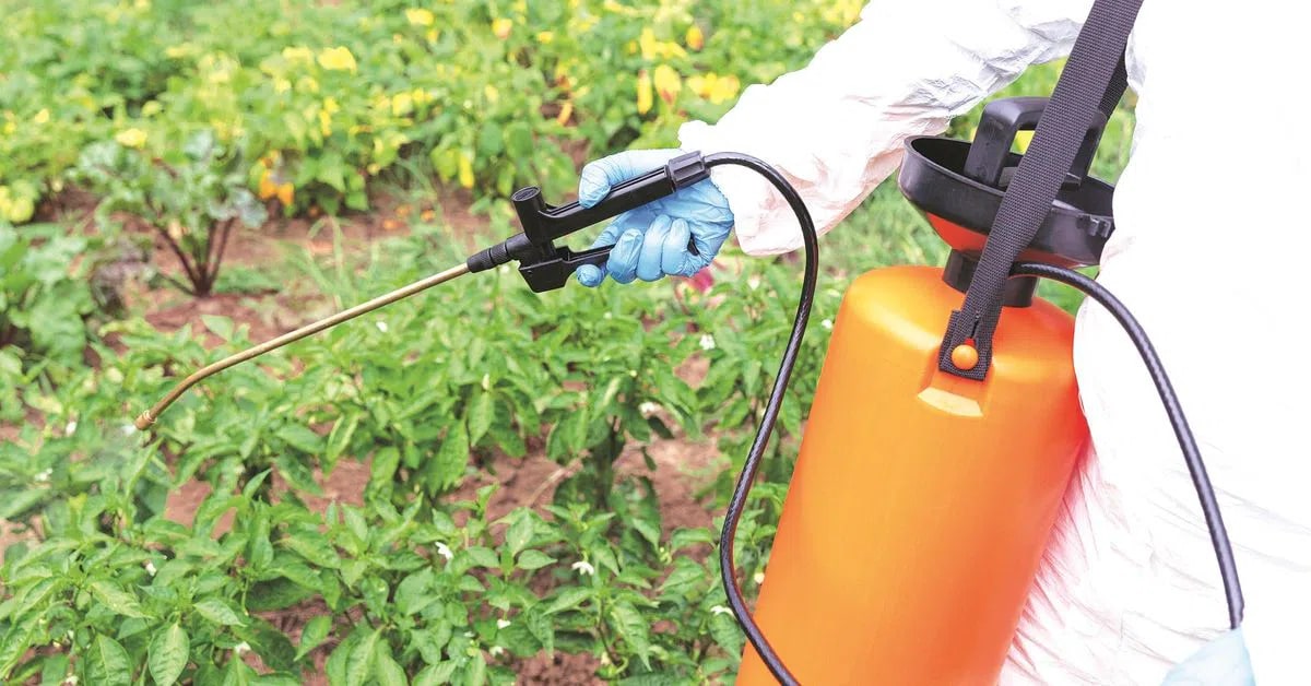 China's Major Urea Export Deal: Shifting Global Fertilizer Dynamics