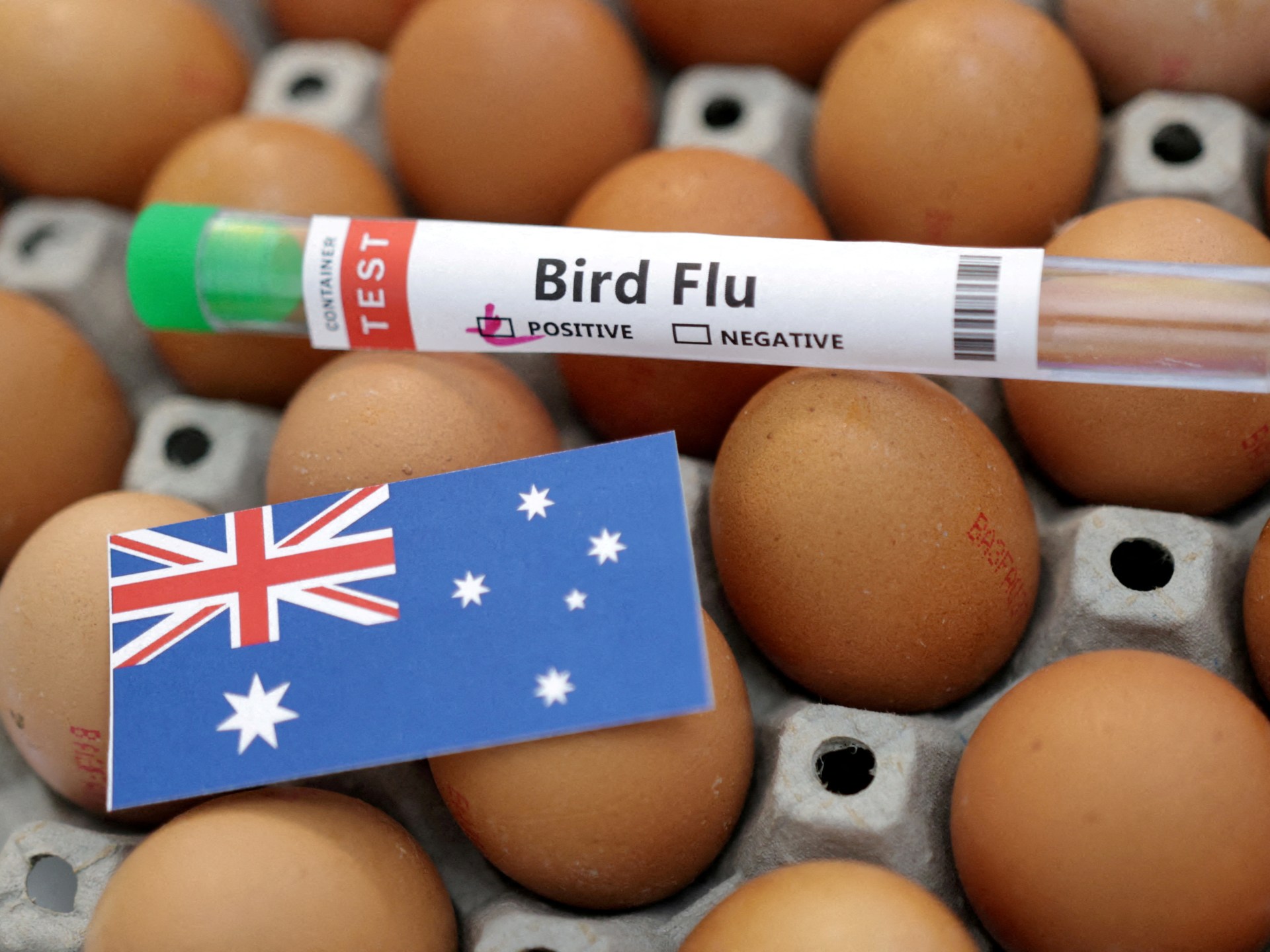 Vogelgrippe H5N1 erreicht Australien: Auswirkungen auf die Biosicherheit