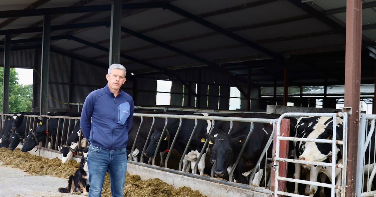The High Price of Dry Spells: Assessing Losses in European Dairy and Tillage