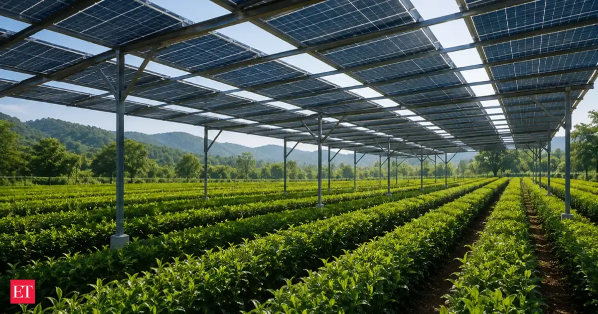 Agrivoltaics: Why Solar Panels Might Actually Boost Your Tea Yields