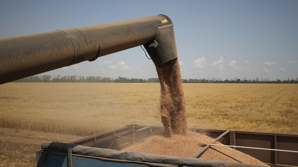 BRICS-Getreidebörse: Welche Folgen hat die neue Handelsplattform für Agrarmärkte?