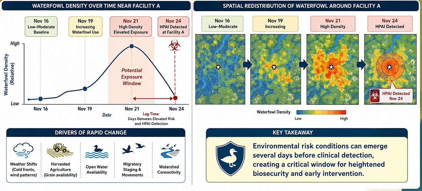 Could Data-Driven Surveillance Help Poultry Farmers Beat Bird Flu?