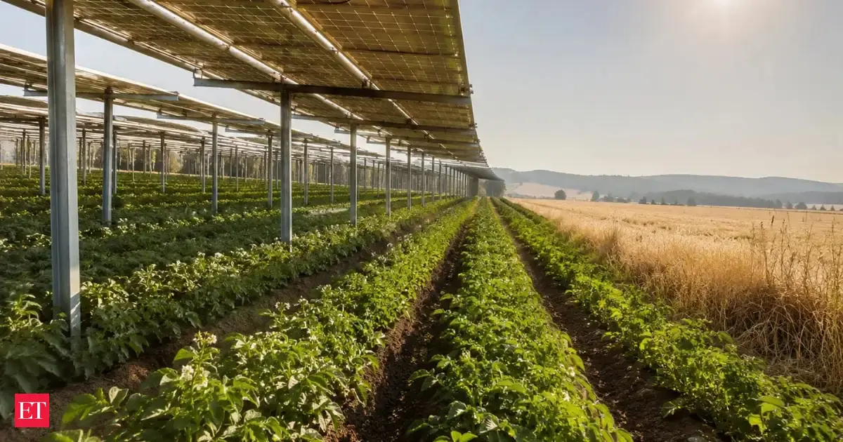 Agrivoltaics: Why Solar Panels Could Be Your Best Crop Insurance
