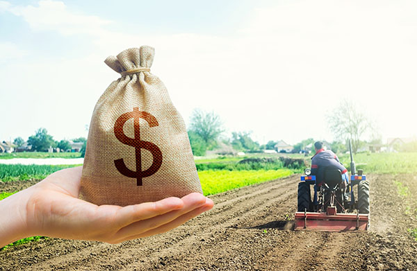 Development Bank Funding Favors Industrial Livestock Over Small-Scale Agriculture