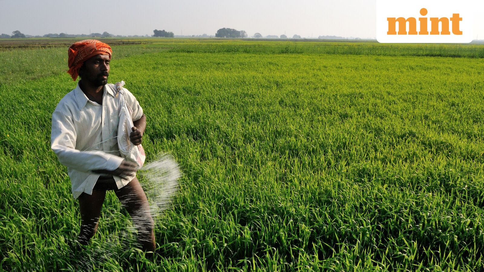 India’s Push for Urea Self-Sufficiency Shapes Global Fertilizer Markets