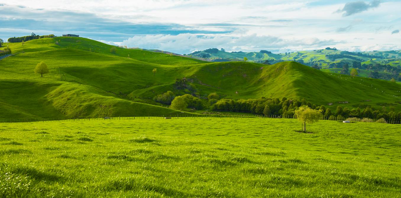 Recycled Wastewater Phosphorus: A New Frontier for European Agronomy